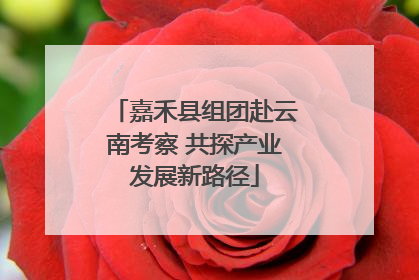 嘉禾县组团赴云南考察 共探产业发展新路径