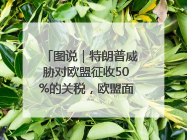 图说｜特朗普威胁对欧盟征收50%的关税，欧盟面临多重压力