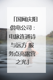 国网庆阳供电公司：电脉连通诗与远方 服务点亮露营之光