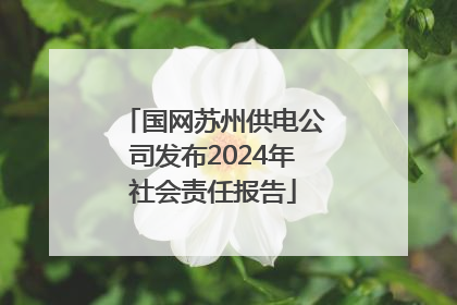 国网苏州供电公司发布2024年社会责任报告