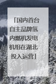 国内首台自主品牌氢内燃机发电机组在湖北投入运营