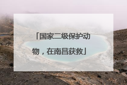 国家二级保护动物，在南昌获救