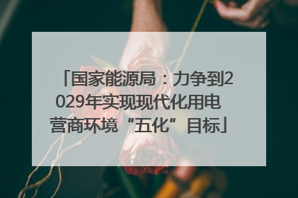 国家能源局：力争到2029年实现现代化用电营商环境“五化”目标
