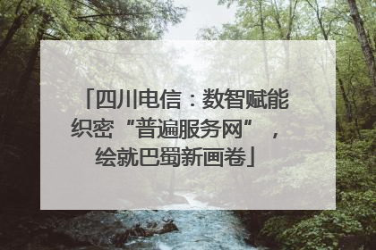 四川电信：数智赋能织密“普遍服务网”，绘就巴蜀新画卷