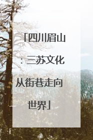 四川眉山：三苏文化从街巷走向世界