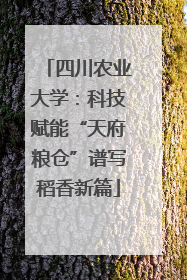 四川农业大学：科技赋能“天府粮仓”谱写稻香新篇