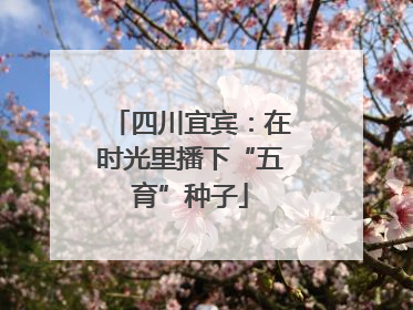 四川宜宾：在时光里播下“五育”种子