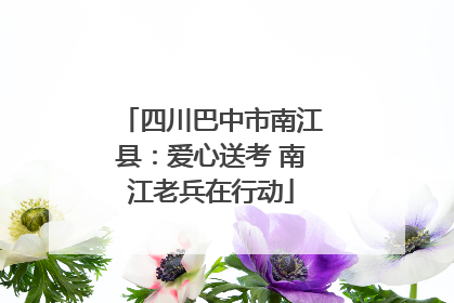 四川巴中市南江县：爱心送考 南江老兵在行动