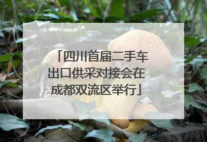 四川首届二手车出口供采对接会在成都双流区举行