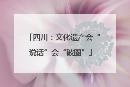 四川：文化遗产会“说话”会“破圈”