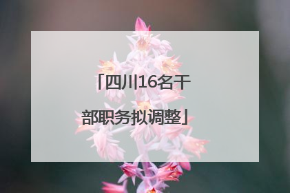四川16名干部职务拟调整