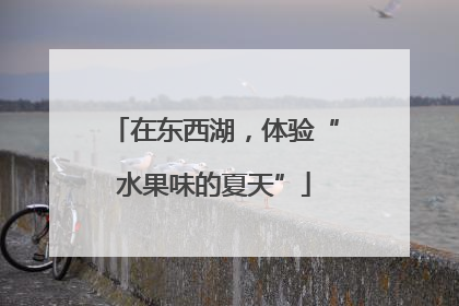 在东西湖，体验“水果味的夏天”