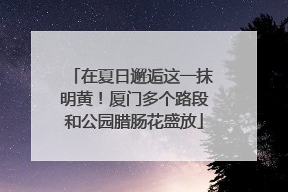 在夏日邂逅这一抹明黄！厦门多个路段和公园腊肠花盛放