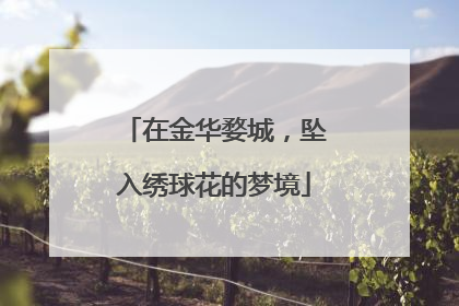 在金华婺城，坠入绣球花的梦境