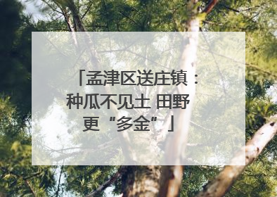 孟津区送庄镇：种瓜不见土 田野更“多金”