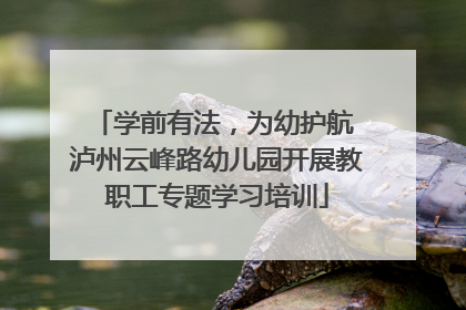 学前有法，为幼护航 泸州云峰路幼儿园开展教职工专题学习培训