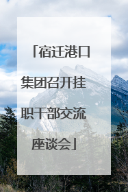 宿迁港口集团召开挂职干部交流座谈会