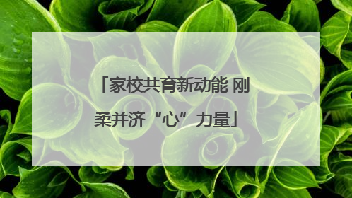 家校共育新动能 刚柔并济“心”力量