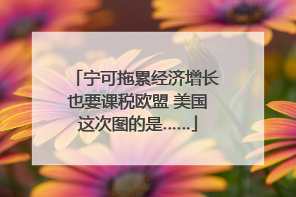 宁可拖累经济增长也要课税欧盟 美国这次图的是……