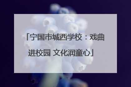 宁国市城西学校：戏曲进校园 文化润童心