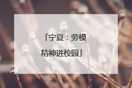 宁夏：劳模精神进校园