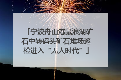 宁波舟山港鼠浪湖矿石中转码头矿石堆场巡检进入“无人时代”