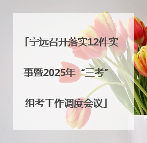 宁远召开落实12件实事暨2025年“三考”组考工作调度会议