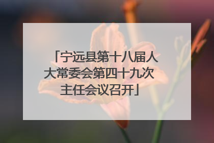 宁远县第十八届人大常委会第四十九次主任会议召开