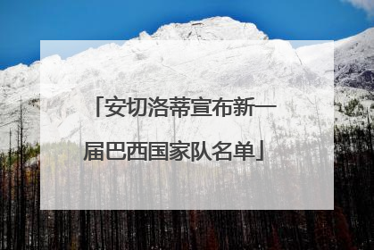 安切洛蒂宣布新一届巴西国家队名单