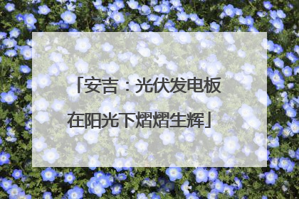 安吉：光伏发电板在阳光下熠熠生辉