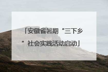 安徽省暑期“三下乡”社会实践活动启动