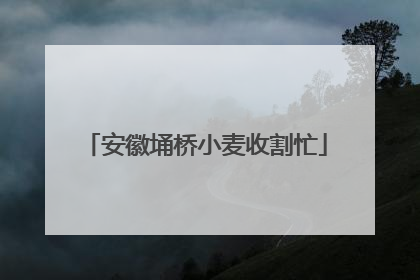 安徽埇桥小麦收割忙
