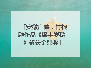 安徽广德：竹根雕作品《梁丰岁稔》斩获金鼎奖