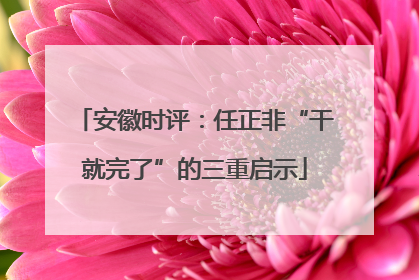 安徽时评：任正非“干就完了”的三重启示