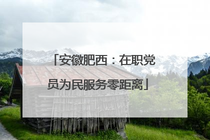 安徽肥西：在职党员为民服务零距离