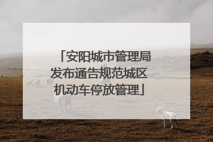 安阳城市管理局发布通告规范城区机动车停放管理