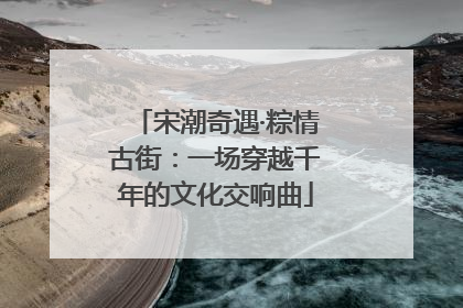 宋潮奇遇·粽情古街：一场穿越千年的文化交响曲