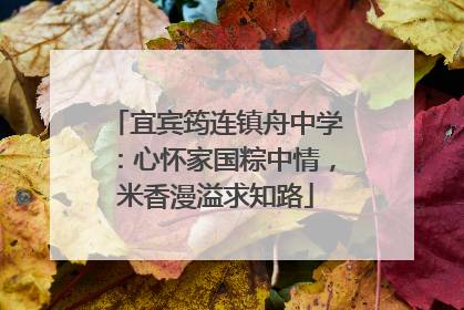 宜宾筠连镇舟中学：心怀家国粽中情，米香漫溢求知路