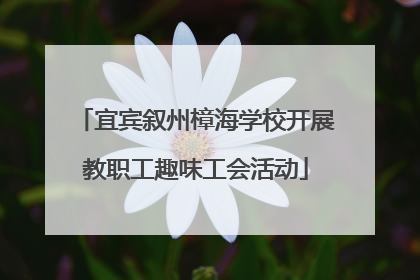 宜宾叙州樟海学校开展教职工趣味工会活动