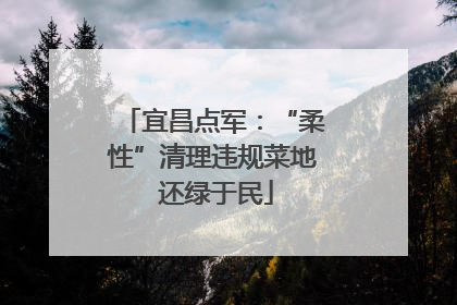 宜昌点军：“柔性”清理违规菜地 还绿于民