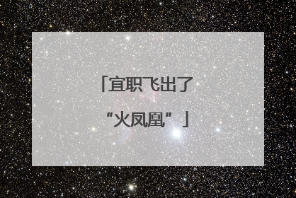 宜职飞出了“火凤凰”