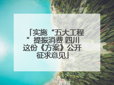 实施“五大工程”提振消费 四川这份《方案》公开征求意见