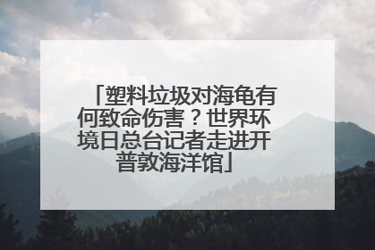 塑料垃圾对海龟有何致命伤害？世界环境日总台记者走进开普敦海洋馆