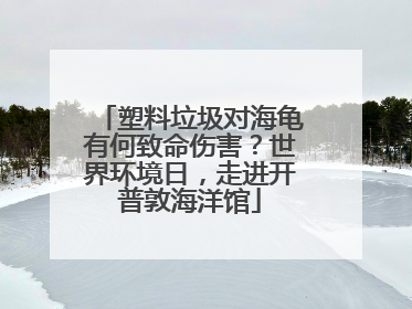 塑料垃圾对海龟有何致命伤害？世界环境日，走进开普敦海洋馆