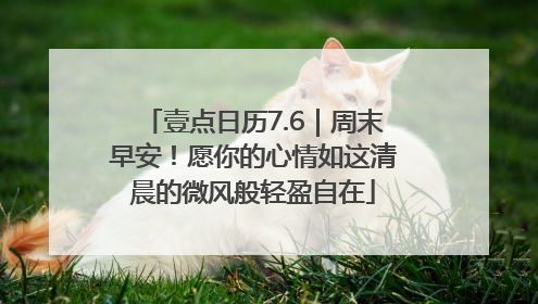 壹点日历7.6｜周末早安！愿你的心情如这清晨的微风般轻盈自在