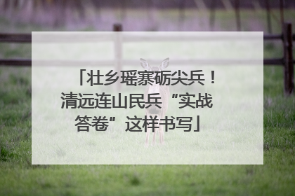 壮乡瑶寨砺尖兵！清远连山民兵“实战答卷”这样书写