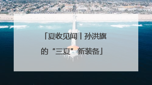 夏收见闻丨孙洪旗的“三夏”新装备