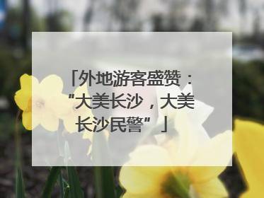 外地游客盛赞：“大美长沙，大美长沙民警”