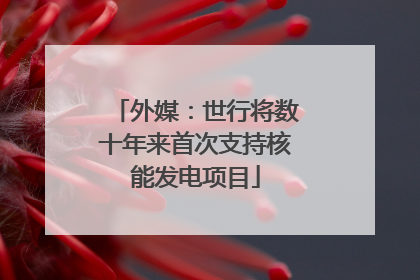 外媒：世行将数十年来首次支持核能发电项目