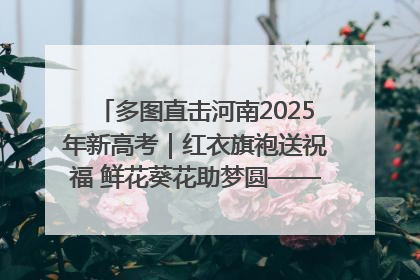 多图直击河南2025年新高考｜红衣旗袍送祝福 鲜花葵花助梦圆——尉氏县高考暖心送考